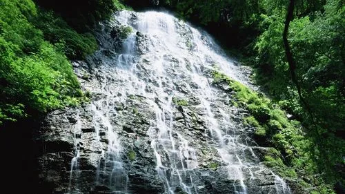 信息化高端